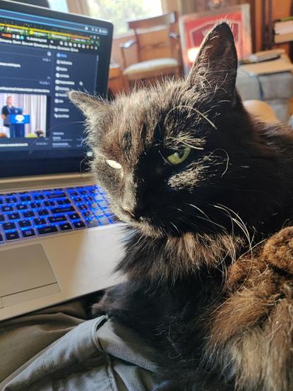 Jiji, hacker familiar extraordinairre