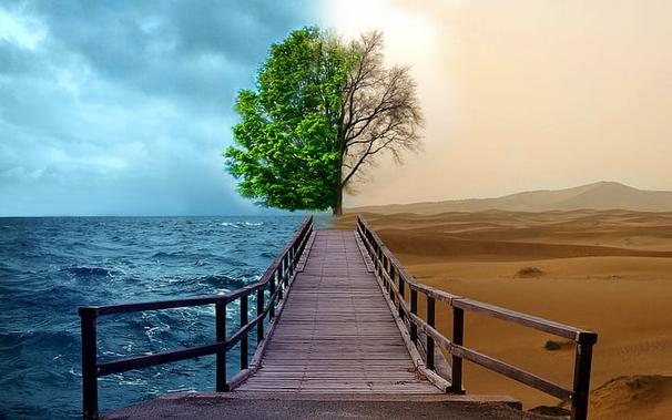 A bridge leading to a divided scene. One side has water, clouds, and a tree with green leaves. The other side has hazy skies, desert and dead tree branches.