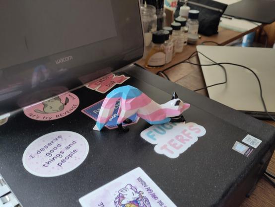 Photo of a fox in trans flag colors on top of a sticker-covered desktop computer. The fox is clawing a Fuck TERFS sticker. In the background, there's an old Wacom  drawing tablet and a row of bottles with oil painting mediums. On the right, a 2015 macbook pro.

Another sticker says "I deserve good things and and people".