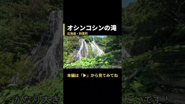 大迫力のオシンコシンの滝！【北海道斜里町・オシンコシンの滝】メイン動画の切り抜き #どさんこ #日本一周 #オシンコシンの滝 #知床