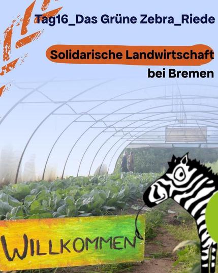 Bildbeschreibung: Foto in einem großen Foliengewächshaus. Unten ein Schild "Willkommen" rechts davon ein gemalters Zebra. 

Text oben: Tag 16_ Das grüne Zebra Riede
Solidarische Landwirtschaft bei Bremen