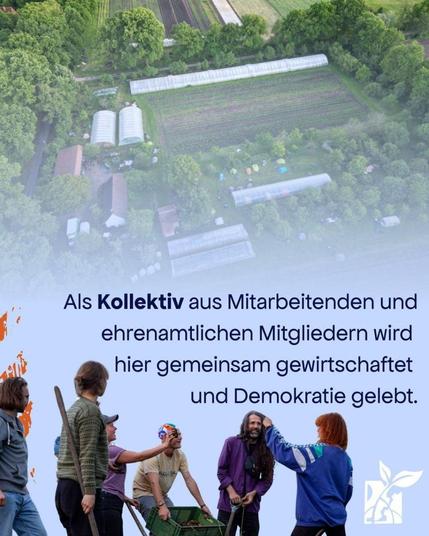 Bildbeschreibung: oben ein Drohnenfoto mit Folienhäusern und Beeten.
Unten Menschen, die wohl zusammen arbeiten und Spaß haben. 
Unten rechts das Disrupt-Logo

Text in der Mitte: Als Kollektiv aus Mitarbeitenden und ehrenamtlichen Mitgliedern wird hier gemeinsam gewirtschaftet und Demokratie gelebt.