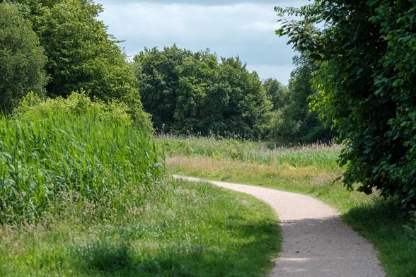 A winding path through lush greenery in Huizen, Netherlands, under a cloudy sky.