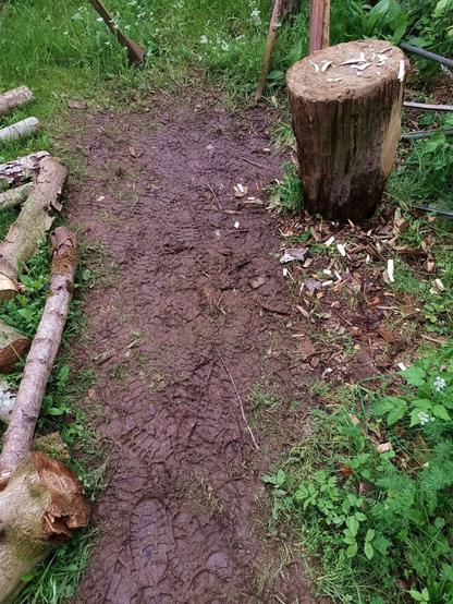 A piece of ground, well trampled and muddy brown from the same pair of boots walking back and forth a lot. There's a large chopping block and some logs laying on the ground.
