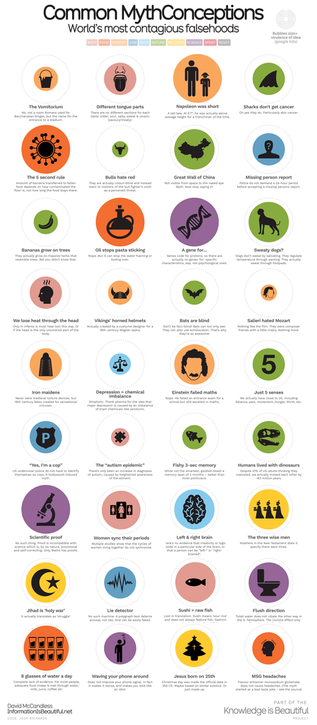 ALT: An infographic titled "Common MythConceptions: World's most contagious falsehoods" debunks popular myths. Examples include: Napoleon wasn't short; sharks can get cancer; bulls don't hate red; bananas grow on plants, not trees; bats aren't blind; goldfish have more than a 3-second memory; and MSG doesn't cause headaches. Each myth is represented by an icon and a brief explanation. Bubbles vary in size based on the myth's popularity. Created by David McCandless from the "Information is Beautiful" project.