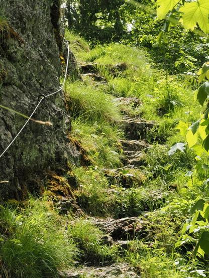 Bergweg, links mit einem Stahlseil gesichert, mit Gras überwachsen. Der Weg geht bergauf und lässt die nächste Serpentine erahnen.