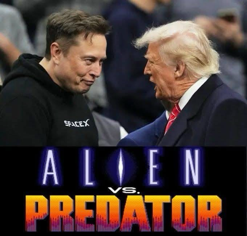 ALIEN VS. PREDATOR (Starring Elon Musk and Donald Trump)