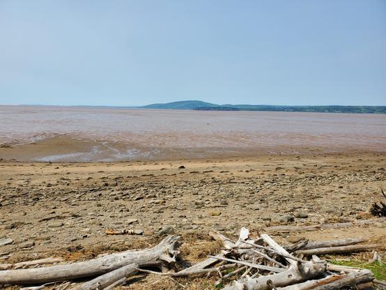 A strip of beach in the foreground, then an expanse of brown mud interrupted only by the other side of the bay off in the distance.