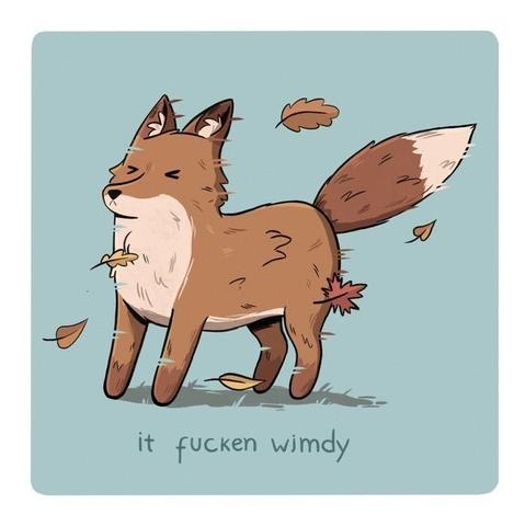 Drawing of a fox in the wind, eyes closed because it is a strong wind. Fur is blown backwards, leaves flying around.

Text at the bottom „it fucken wimdy“