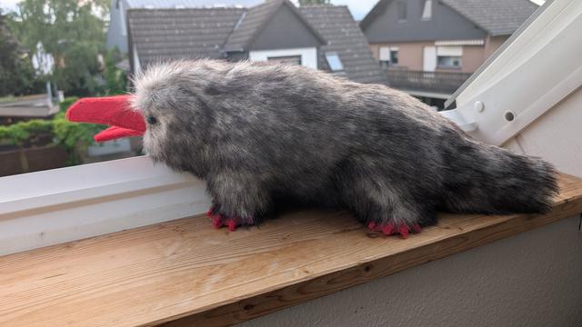 Another shot of the platypus looking outside the window.