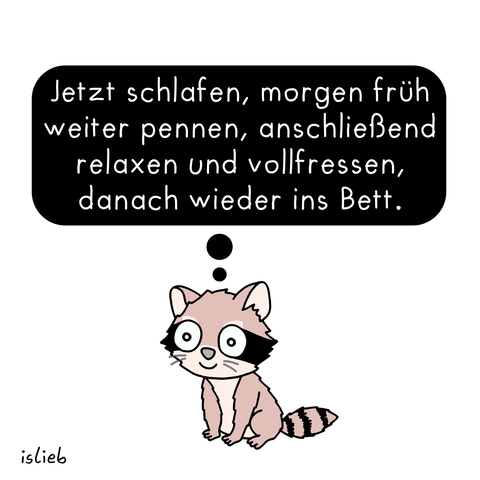 Comic. Ein glücklicher Waschbär denkt: "Jetzt schlafen, morgen früh weiter pennen, anschließend relaxen und vollfressen, danach wieder ins Bett."