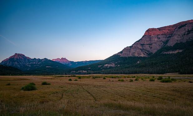 A picture of a yellow grassy field with a mountains in the background, with pink sunset colors on the top.