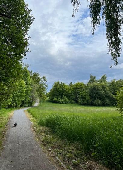 Ein Fußweg, der links im Bild  entlang einer saftig grünen Wiese in die Ferne führt. Hinten rechts und links neben dem Weg säumen üppig grünende Bäume die Szene. Der Himmel ist blau mit einer von hinten aufkommenden weißgrauen Wolkenschicht.

A footpath that leads into the distance along a lush green meadow on the left of the picture. Lush green trees line the scene to the right and left of the path. The sky is blue with a layer of white-grey clouds rising from behind.