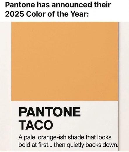 Pantone has announced their : 2025 Color of the Year:  PANTONE TACO  A pale, orange-ish shade that looks bold at first... then quietly backs down.