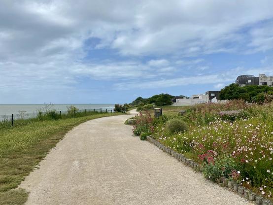 A road along the coat stretching and curving forward into the horizon. The coast to the left and  flowers and some houses to the right. The sky is partly cloudy.