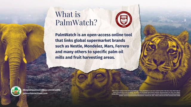#PalmWatch helps you track #palmoil #deforestation 🙅 and #humanrights abuses by "sustainable" RSPO members: #Nestle, Colgate-Palmolive, #Unilever #Kelloggs, Mondelez. Uncover their ecocide and #Boycottpalmoil 🌴🛢️🔥🩸⛔ #Boycott4Wildlife @palmoildetect.bsky.social https://palmoildetectives.com/2024/03/20/palmwatch-an-open-source-tool-that-empowers-you-to-hold-palm-oil-greenwashers-to-account/?utm_source=mastodon&utm_medium=Palm+Oil+Detectives&utm_campaign=publer