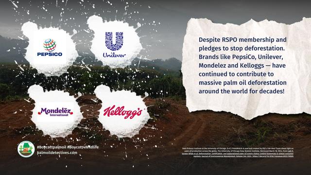 #PalmWatch helps you track #palmoil #deforestation 🙅 and #humanrights abuses by "sustainable" RSPO members: #Nestle, Colgate-Palmolive, #Unilever #Kelloggs, Mondelez. Uncover their ecocide and #Boycottpalmoil 🌴🛢️🔥🩸⛔ #Boycott4Wildlife @palmoildetect.bsky.social https://palmoildetectives.com/2024/03/20/palmwatch-an-open-source-tool-that-empowers-you-to-hold-palm-oil-greenwashers-to-account/?utm_source=mastodon&utm_medium=Palm+Oil+Detectives&utm_campaign=publer