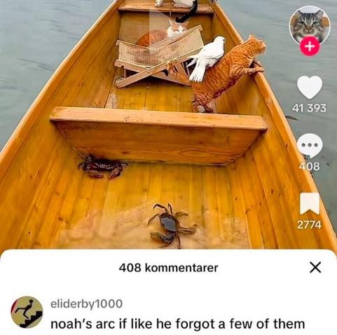 A boat with a few animals in it. A couple crabs, a cat or two, a bird. Someone comments "noah's arc if like he forgot a few of them".