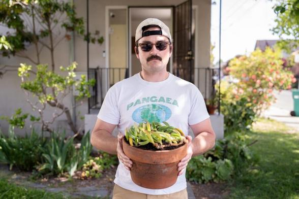 We’ve Lost the A’s, But At Least We Still Have This Invasive Succulent