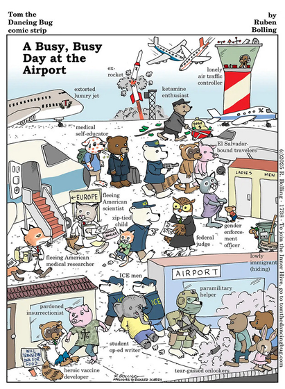 Page, drawn in the style of Richard Scarry

Tom the Dancing Bug comic strip
by Ruben Bolling

A Busy, Busy Day at the Airport

Jumbo jet lebeled "extorted luxury jet"
Exploding rocket "ex-rocket"
Rat rolling cash to a private plane labeled "ketamine enthusiast"
Control tower next to crashin gplanes "lonely air traffic controller"
Someone with measles rash labeled "medical self-educator"
Animals being rounded into another plane at gunpoint: "El Slavador bound travelers"
A rat looking up a skirt labeled "gender enforcement officer"
Plane to europe with passengers boarding: fleeing American scientist, feleeing Amerinca medical researcher
In the middle of the page "zip-tied child" and an owl with "STOP" written on it labeled "federal judge"
Elephant being dragged by two wolves with ICE jackets on labeled "student op-ed writer"
Pig pummeling a raccoon wearing a white lab coat, man in lab coat "heroic vaccine developer" and the  pig labeled "pardoned insurrectionist"
Armed dog labeled "paramilitary helper" throwing tear gas.
Hiding in a corner is a garbage can, labeled "lowely immigrant (hiding)"