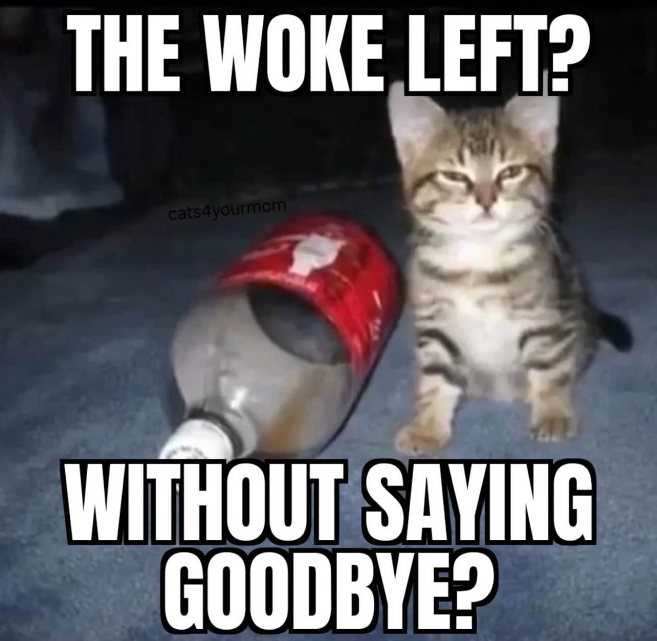 Meme titled „the woke left? Without saying goodbye?“ Shows a cat looking critically next to an empty bottle of coke.