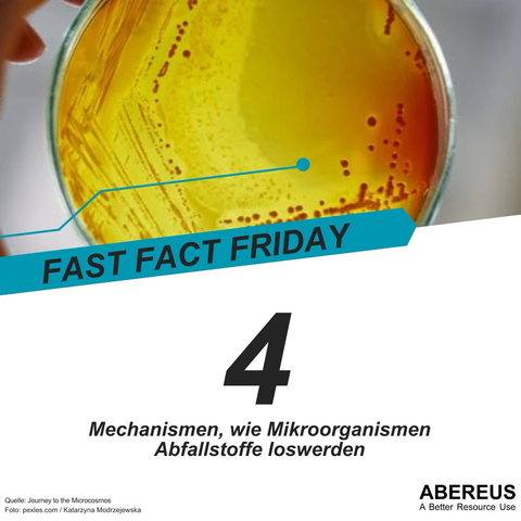Das Bild ist zweigeteilt. Oben ist eine Großaufnahme einer Petrischale, in der an manchen Stellen gelb und an anderen Stellen rote Punkte zu sehen sind. Darunter ist der Text "Fast Fact Friday - 4 Mechanismen, wie Mikroorganismen Abfallstoffe loswerden" sowie das Logo von ABEREUS.