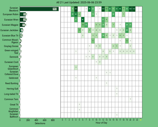 Today's top 20 bird chart