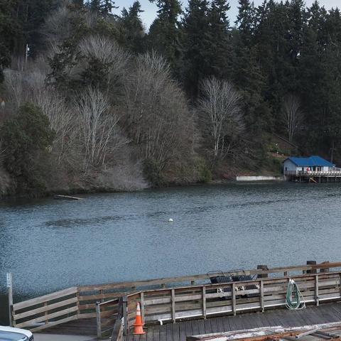 Photo by Neil E. Hodges on March 10, 2021. May be an image of nature, tree and body of water.