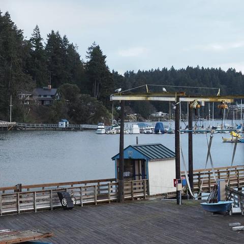 Photo by Neil E. Hodges on March 10, 2021. May be an image of nature and body of water.