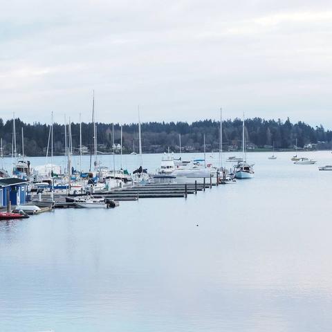 Photo by Neil E. Hodges on March 10, 2021. May be an image of nature and body of water.