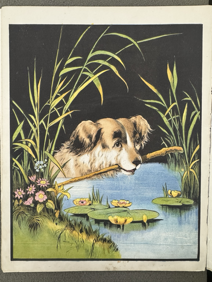photos of four color book illustrations #1: brown & white dog, fetching a stick in a pond (head above water, stick in mouth)