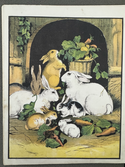 photos of four color book illustrations #3: seven multicolored rabbits (3 white, 1 brown, 2 tan & white, 1 black & white) in a garden hutch eating carrots and greens out of a basket and on the ground