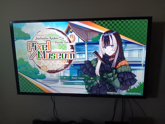 TV displaying the game Picross: Juufuutei Raden's Guide for Pixel Museum