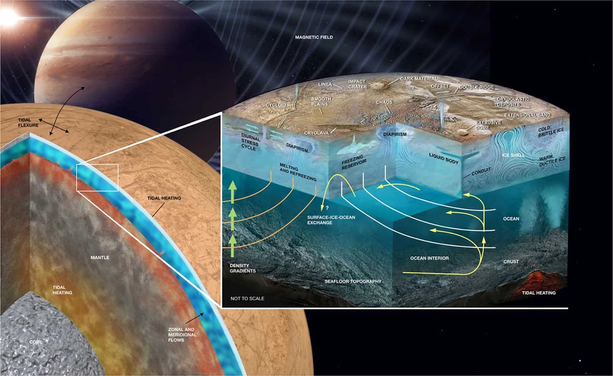 The left-hand side of the figure shows a cutaway view of Europa’s interior. From this image it is evident that despite the surficial appearance, Europa is not truly an icy moon. Rather, it is a rocky body covered in ice. The ice shell and underlying ocean form a thin (∼100 km thick) veneer of volatiles overlying a rocky mantle and metallic core.

On this global scale, the key physical process that occur are the tidal dissipation in the lower ice shell and mantle, zonal and meridional flows in the ocean, and the induced magnetic field caused by the body’s passage through Jupiter’s variable magnetic field (shown in the background).

Locally, most of the important features and processes occur in the ice shell and ocean, shown in the inset. Here, the ice shell is shown not as homogeneous, but highly variable. The cold brittle ice near the surface lies on top of warmer, ductile material below that is heated unevenly by tides. This may drive subsolidus convection in the ice shell resulting in upwelling ocean ice diapers, formation and re-freezing of melt lenses, and diurnal stresses. These processes manifest at the surface in the form of cycloids, double ridges, and chaos terrains.