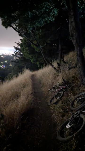 Bikes, a hillside, a trail, distant city lights