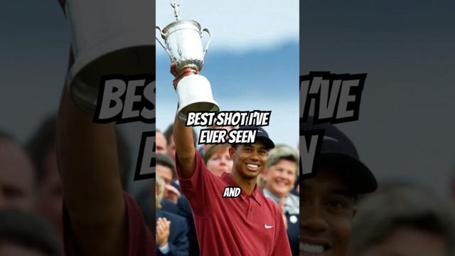 Ted Scott said this is Tiger Woods best shot