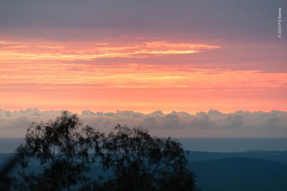 Dawn view from an escarpment over dark plains out to a dark sea. On the horizon is a dense, even band of low, grey-white cumulus, glowing very faintly pink from the almost incandescent pink and orange of high cloud above it, vividly lit by the invisible rising sun. In the near foreground, part of the plains and sea are obscured by the silhouette of a nearby tree's crown.