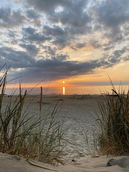 Sunset over a beach, viewed through tall grasses from a sandy foreground. The sun is low on the horizon, reflecting on calm water. Cloud-filled sky with shades of blue, gray, and orange above. Silhouettes of distant beachgoers near the waterline.