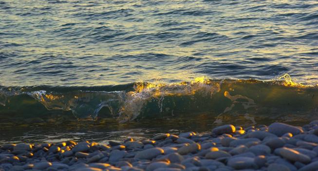 Une vague formant un petit rouleau se brisant sur une plage de galets. Les rayons du soleil rasant passent à travers la vague et lui donnent une teinte dorée.