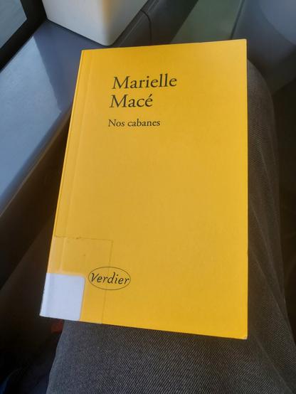 Photo du livre Nos Cabanes, couverture jaune, épurée disons.