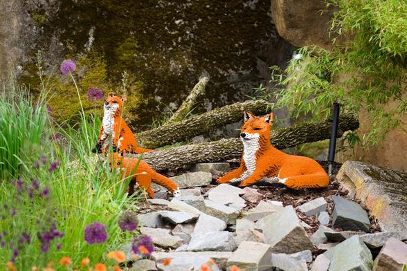 Photo of a family of foxes build with LEGO bricks