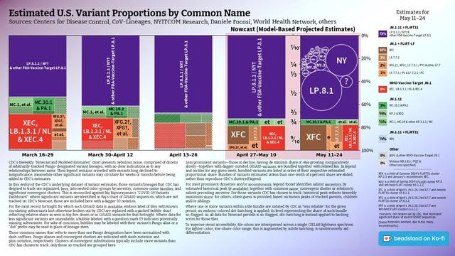 Chart: Est. U.S. Variant Proportions by Common Name
Sources: CDC, Cov-Lineages, NYITCOM, others

[ beadsland on Ko-fi ]

Reskin of CDC's Variants Nowcast, and any significant variants in GISAID not broken out by CDC.

Five bar-style tree-charts, for fortnights through 5/11–5/24. Legend of last fortnight, organized by subheadings of color-grouped families and convergent clusters. Percentages overlay each color key, reflecting share as of most recent tree-chart.

For 5/11–5/24, packed bubble charts fill single-variant tiles, reflecting GISAID detail not shown by CDC's Nowcast.

Legend:

JN.1.11 + FLiRT31 [purple]:
73% - LP.8.1.1 / NY† & other FDA-Vaccine-Target LP.8.1

JN.1 + FLiRT-LF [browns]:
10% - XFC
3% - LF.7.7.2
2% - XFG.2†, XFG†, LF.7.9.1 / PY† & other LF.7
1% - LF.7.7.1 / PV & LF.7.2.1 / PC

WHO-Vaccine-Target JN.1 [red]:
6% - XEC, LB.1.3.1 / NL & XEC.4

JN.1.11 [greens]:
3% - MC.10.1 & PA.1
¾% - KP.3 & XEQ
⅞% - MC.1, MC.19 & other KP.3.1.1 / MC

JN.1.11 + FLiRT31 [blue]:
¼% - XEK

Other [greys]:
0% - XFP† & other WHO-Vaccine-Target JN.1
0% - Nimbus NB.1.8.1 / PQ† & Other (not specified)
_____

XFC is a child of April's JN.1.16.1 kid LF.7 and newish FLiRT31 cluster LP.8.1.1.

XFG is a child of April's JN.1.16.1 kid LF.7 and newish FLiRT31 cluster LP.8.1.2.

XFP is a child of April's JN.1.16.1 kid LF.7 and left-field FLiRT cluster LS.2.1.1.

[Some footnotes omitted, due to too many recombinants.]