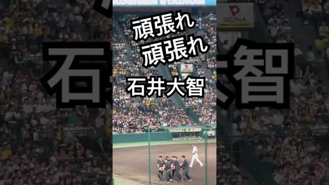 #阪神タイガース #石井大智 #hanshintigers #阪神甲子園球場 #甲子園 #阪神 #野球 #阪神応援 #hanshin #tigers