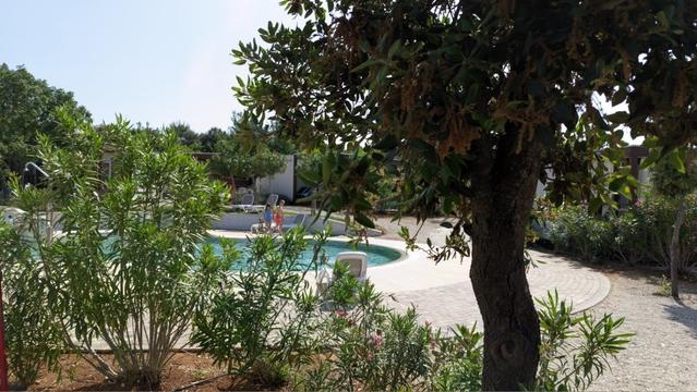 Blick auf einen Pool der zum großen Teil von Sträuchern und einen Baum im Vordergrund verdeckt wird