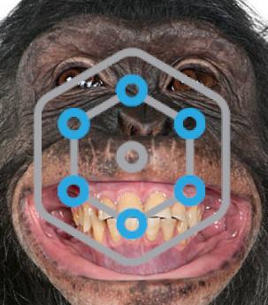 A grinning, happy-looking chimpanzee. The RepOD logo on top of the face.