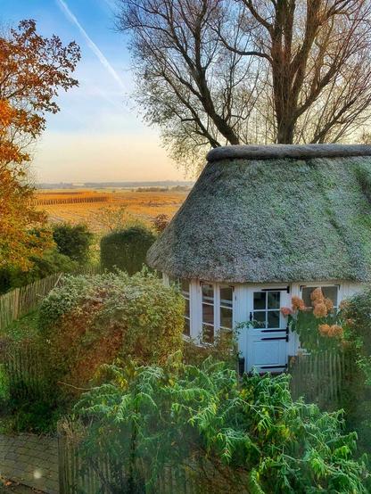 Das Foto zeigt ein Reetdachhaus mit Garten, das von schräg oben aufgenommen wurde. Es ist nur ein Teil des Hauses zu sehen. Es hat hohe, weiße Sprossenfenster und eine weiße Tür mit einem Glaseinsatz oben. Das Haus ist von üppiger Vegetation umgeben: Sträucher, Stauden und Bäume stehen in großer Vielfalt rund um das Haus. Hinter dem Haus liegen in der Ferne Landwirtschaftsflächen. Es herrscht etwas diffuses Licht an einem kalten Novembermorgen.