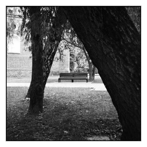 The image is a black and white photograph featuring a park scene. In the foreground, two large tree trunks frame the view, creating a natural archway. The bark of the trees is textured and dark, contrasting with the lighter background. In the middle ground, a wooden bench is visible, situated on a concrete path. The bench is unoccupied and faces away from the viewer, suggesting a quiet, peaceful setting. The background includes a brick building with a window, partially obscured by trees, and a grassy area with scattered leaves. The overall composition is symmetrical, with the bench centered between the tree trunks, and the image has a serene, contemplative atmosphere.