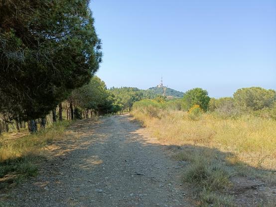 Zona más abierta con pista de grava, con el bosque a la izquierda y una cima con antena al fondo