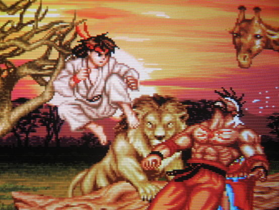 A lion and a giraffe watch with great interest as Ryoko jump kicks Zazie.