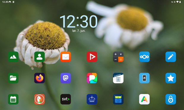 A screenshot of an android (/e/OS) tablet launcher, landscape mode, custom photo background with some flowers and green, blurred background, a digital clock widget on top and large app icons.